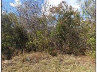 Imagem do imóvel TE02868