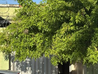 Imagem do imóvel CA97319